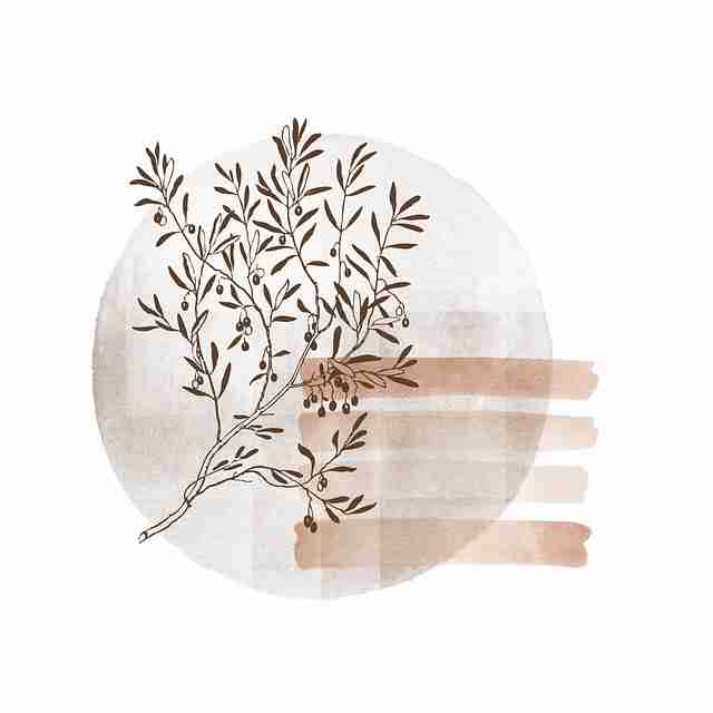 【官方】麻豆游戏全景扫描上分秘籍 第1张 【官方】麻豆游戏全景扫描上分秘籍 第1张